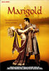 marigold-2007-4b.jpg